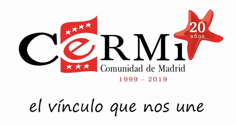 logotipo 20 Aniversario Cermi Madrid.